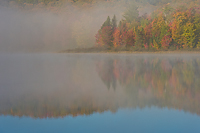 Autumn Forest, Foggy Bogs and Lake Superior Shoreline, Porcupine Mountains Wilderness State Park and Environs, Michigan